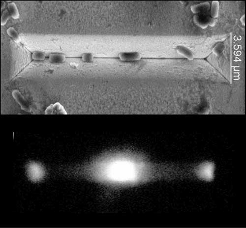Nanoscale Plasmonic V-Groove Waveguides for the Interrogation of Single Fluorescent Bacterial Cells
