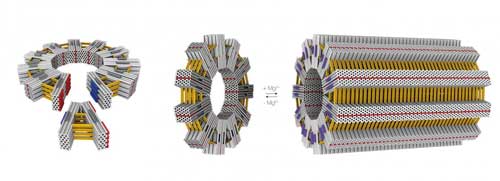 DNA cylinder gear wheels