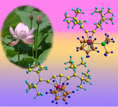 >Schematic showing that adding or removing an extra chemical group (green) to the zirconium atom (pink) can open and close the structure of the molecule like the petals of a lotus flower