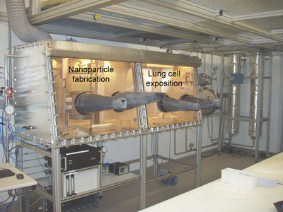 >Cell cultures of lung epithelial cells (in the right-hand box) were exposed to an aerosol of cerium oxide nanoparticles in a special glove box. During the exposure of the cell cultures, the nanoparticles were freshly produced by flame synthesis in the left half of the box