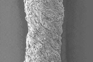 A bundle of Electrospun Fibres viewed under a powerful microscope