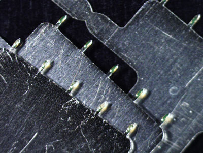 Stainless steel microneedles coated with a model fluorescent vaccine. 