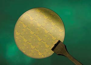 >epitaxial graphene FETs on a two-inch wafer scale