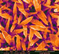 >surface of gold nanoparticles is covered in nano-spikes