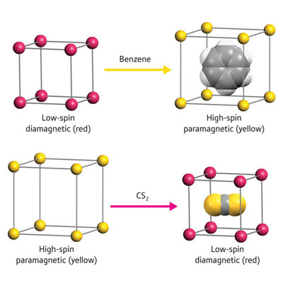 >Schematic diagram of magnetic chemo-switching by guest molecules