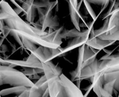 image of electrochemically-deposited crystals from a scanning electron microscope