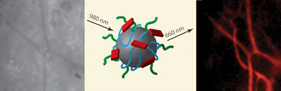 >Yttrium oxide nanoparticles and blue light and upconversion images of blood vessels