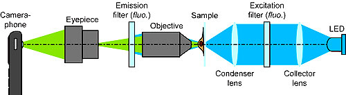 Schematic of the CellScope set up for fluorescent imaging. For bright field imaging, the two filters and LED are removed