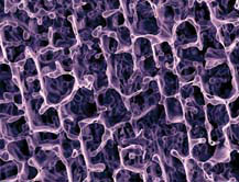 nanocomposite-reinforced soft polymer foam