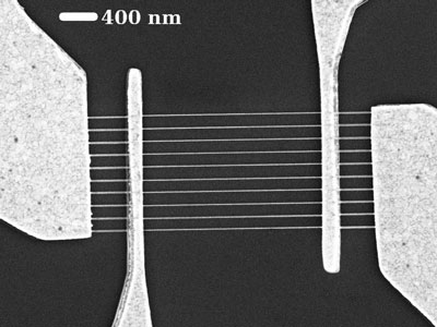 Scanning electron microscope image shows ten graphene nanoribbons between each pair of electrodes