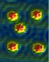 STM image of five molecular rotors
