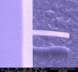 SEM micrograph of fabricated UNCD microresonator