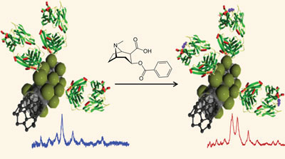 metabolite binding to antibody-coated nanoparticles