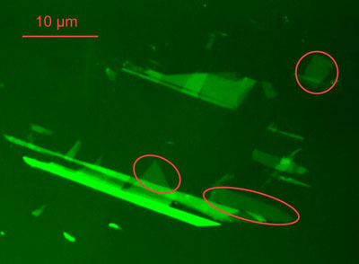Die normalerweise praktisch unsichtbaren einzelnen Kohlenstoff-Atomlagen lassen sich unter einem normalen Lichtmikroskop sichtbar machen, wenn die Unterlage wie ein Anti-Reflektionsfilter aufgebaut ist