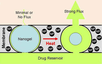Applying an oscillating magnetic field causes the nanoparticles to heat up and the nanogel to collapse, creating a pathway for the drug to move from the reservoir out of the membrane