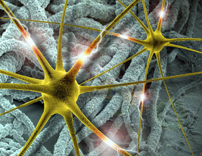 This illustration depicts neurons firing (green structures in the foreground) and communicating with nanotubes in the background
