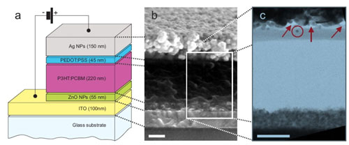 (a) Schematic build-up of the organic solar cell, (b) SEM and (c) FIB/TEM cross sections of the polymer solar cell with a spray coated Ag top contact