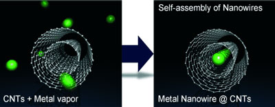 Stable metal nanowires one atom wide inside carbon nanotubes