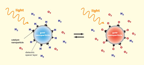 The plasmon resonance in a gold nanoparticle is exited with light so that the particle appears to have a color
