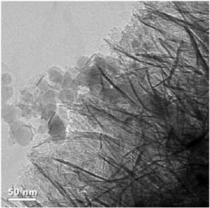 The NanoCeram water filter’s nanoalumina fibers are shown here capturing fumed silica particles of a similar size to viruses