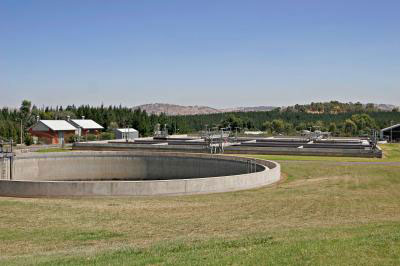 Sewage treatment plants serve as the main gateway for nanoparticles to enter the environment.