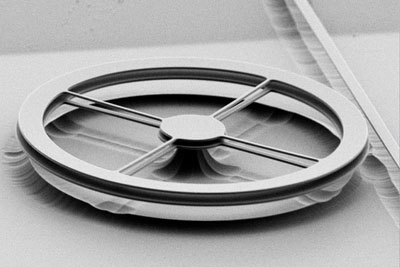 Scanning electron micrograph of two thin, flat rings of silicon nitride, each 190 nanometers thick and mounted a millionth of a meter apart