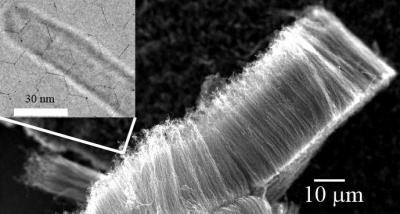 Carbon nanotubes could serve as supercapacitor electrodes with enhanced charge and energy storage capacity