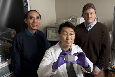 Leslie Tung, left, and Andre Levchenko, right, both of the Department of Biomedical Engineering, with Deok-Ho Kim, a doctoral student in Levchenko’s lab