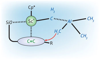 Figure 1: The interaction between a scandium-based catalyst (Sc+–Cp*) and a silyl ether group (SiO) allows the highly selective addition of methylaluminum (blue structure) to carbon–carbon triple bonds
