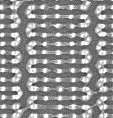 tiny, chainlike molecules arrange themselves into complex patterns