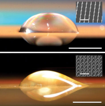 A symmetrical droplet (top) forms on a surface with straight nano-pillars, while on a surface with bent pillars (bottom) the droplet is asymmetrical, extending out only to the right