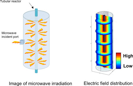Electric field distribution of the TM010 mode in a cylindrical space