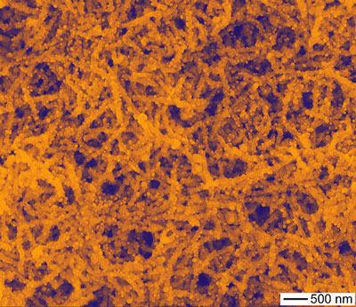 gold-coated silver chloride nanowires