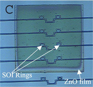 Optical microscope image of a rectangular ZnO nanoparticle coating covering 4 pairs of closely situated SOI microring resonators.