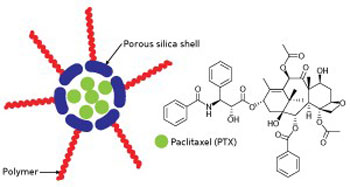  Schematic representation of a polymer-modified silica vesicle (left) for the delivery of the potent anti-cancer drug paclitaxel (PTX)