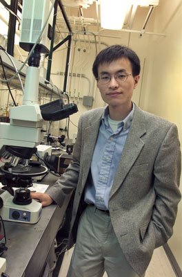 Peidong Yang, a chemist with Berkeley Lab and UC Berkeley, will lead the Berkeley component of the Joint Center for Artificial Photosynthesis, a new Energy Innovation Hub created by the U.S. Department of Energy