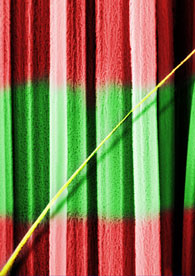 A side view of a forest of bicolor nanoneedles. A central low porosity segment is green and two siding high porosity segments are red. An ultrathin porous wire crosses the picture sideways, in yellow