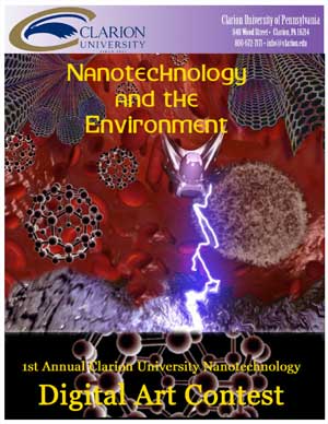 Nanotechnology and the Environment for High School Students