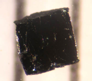A small sample of the high-temperature superconductor Bi-2223