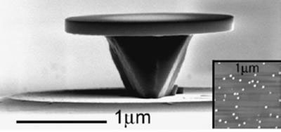 Microdisk laser disk and quantum dot islands