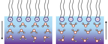 when the air–water interface is positively charged (top left), the water molecules (bottom) will orientate  'hydrogen-down' (left), and when it is negatively charged they are 'hydrogen-up' (right)