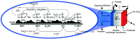 The intact deposition of a complex into carbon powder allows the construction of an organometallic fuel cell (OMFC) that efficiently converts alcohols into carboxylic acids