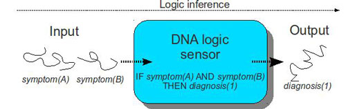 biological sensor detects and analyses DNA sequences