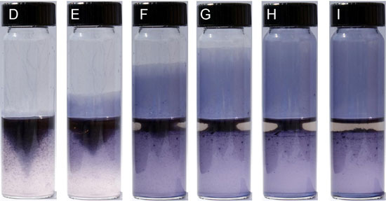 Sequence of images illustrating growth of polymer film in tubes over 35 seconds