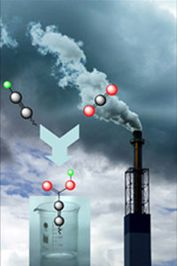 An illustration of the synergistic effect of metal/N-heterocyclic carbene in CO2 utilization