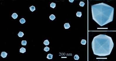 Tetrahexahedral platinum nanocrystals
