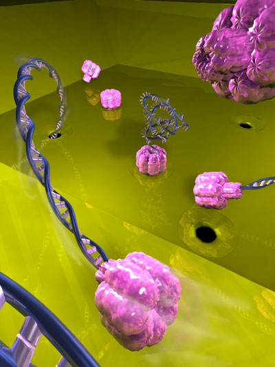 nanopores for DNA analysis