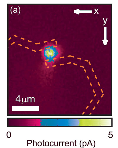 This image shows the photocurrent from the nanowire detector (the yellow spot represents the region where current is generated under illumination) and the electrical contacts are indicated in blue, while the nanowire is indicated in green