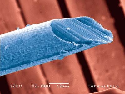 SEM image of a textile fibre to which silver nanoparticles have been applied to increase its UV protection factor