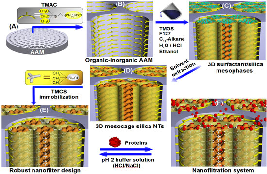 Robust, simple synthesis process for nanofilter AAM membranes in 3D mosaic cage silica nanotubes for molecular orientation and size cut-off of proteins